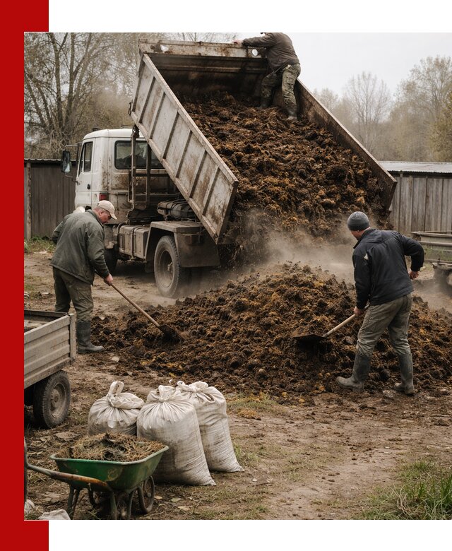 Доставка коровьего навоза самосвалом в Раменском